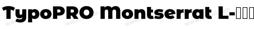 TypoPRO Montserrat L字体转换